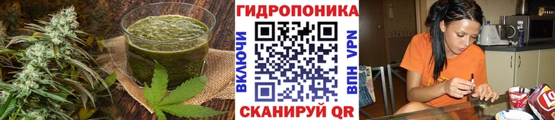 МЕГА ссылка  Дмитровск  Canna-Cookies марихуана  где продают наркотики 