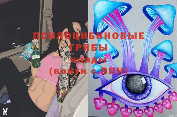кокс Гусиноозёрск