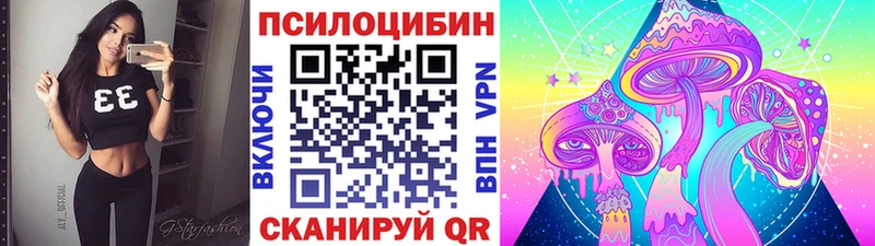 Псилоцибиновые грибы Psilocybine cubensis  KRAKEN ссылки  Дмитровск 